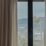 Helmos Euphoria קלבריטה
